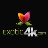 Exotic4K