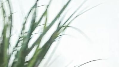 Steph Has Her Tight Little Pussy Drilled By A Much Older BBC