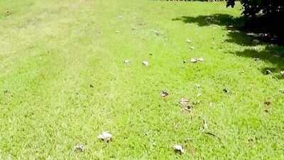 Tyler Steel & Zelda Morrison are fucking out in the open