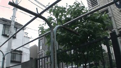 SKINNY BABE SUCKS HUGE COCKS BEFORE A HARD GANG BANG