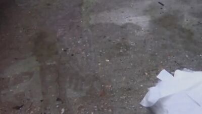 Lucky voyeur catches Asian women piss on camera
