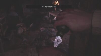 Resident Evil Village Shenanigans pt. 1