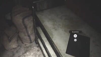 Resident Evil Village Shenanigans pt. 1