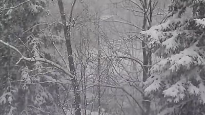 Christmas Horror Stories that took Place During Snowstorms
