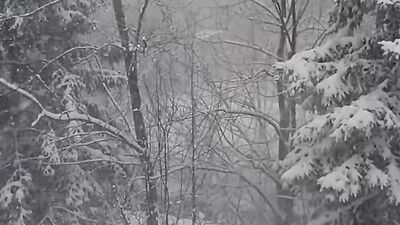 Christmas Horror Stories that took Place During Snowstorms