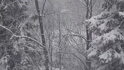 Christmas Horror Stories that took Place During Snowstorms