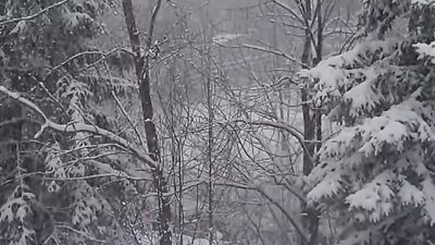 Christmas Horror Stories that took Place During Snowstorms