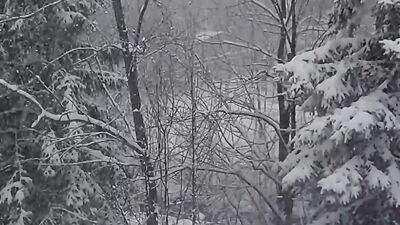 Christmas Horror Stories that took Place During Snowstorms