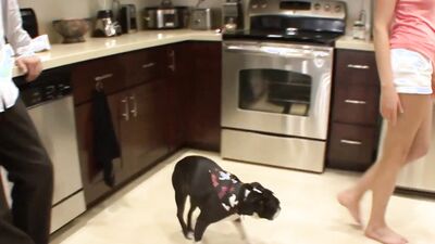 Babe with the perfect ass gets spanked while fucked hard in doggy