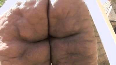 Big Booty Judy Booty Shake