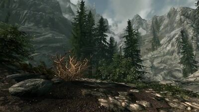 Skyrim VR NSFW Mods Part 2