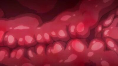 Sukebe Elf Tanbouki Ep2 -sub español-