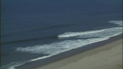 Beach Bunnys – Full porn movie