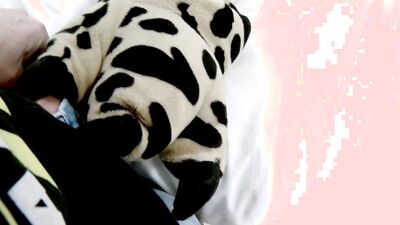 Very hard to satisfy multi orgasmic spanish babe Penelope Cum