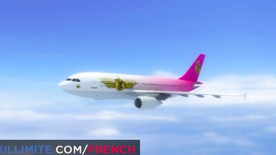 Anal trio with 2 flight attendants during a flight
