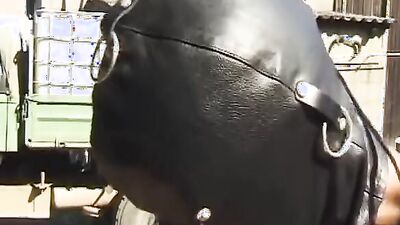 Attractive German slut tied up and fucked hard