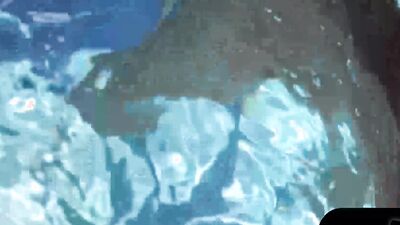 Horny Brunette Sofie Marie Gets Hot Anal Fucking Underwater
