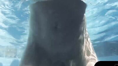 Horny Brunette Sofie Marie Gets Hot Anal Fucking Underwater