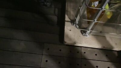 Vends-ta-culotte - Personal sextape of the superb Chloe Duval: she comes out of the pool naked and fucks with her boyfriend