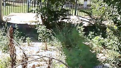 A stranger watched me masturbate in the park, then took me to a construction site and fucked me