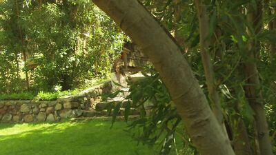 Cytherea Is Reunited With Her Love- PervMilfsnTeen