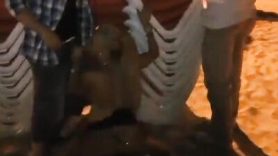 Dazzling blonde mommy is getting fucked up her aching booty