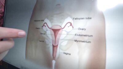 After getting her cunny licked, a short-haired MILF will have POV intercourse