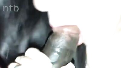 Amateur white slut adores sucking off a BBC whenever she gets a chance