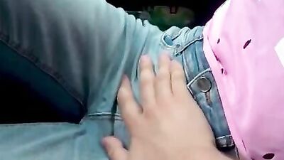 Amateur sex video of a couple having quick cock sucking and fucking in a car