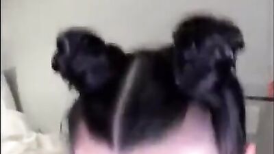 POV cock sucking and jerking off treatments from skilled broads
