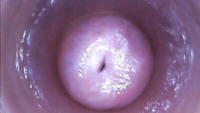 Let's take a look at what's inside the brunette girl's delicious pussy